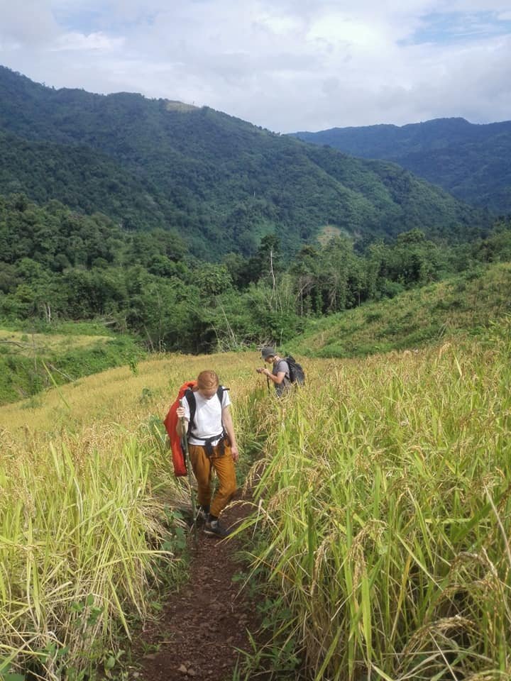 3 Days Phou Louey Mountain Summit Trekking Tour